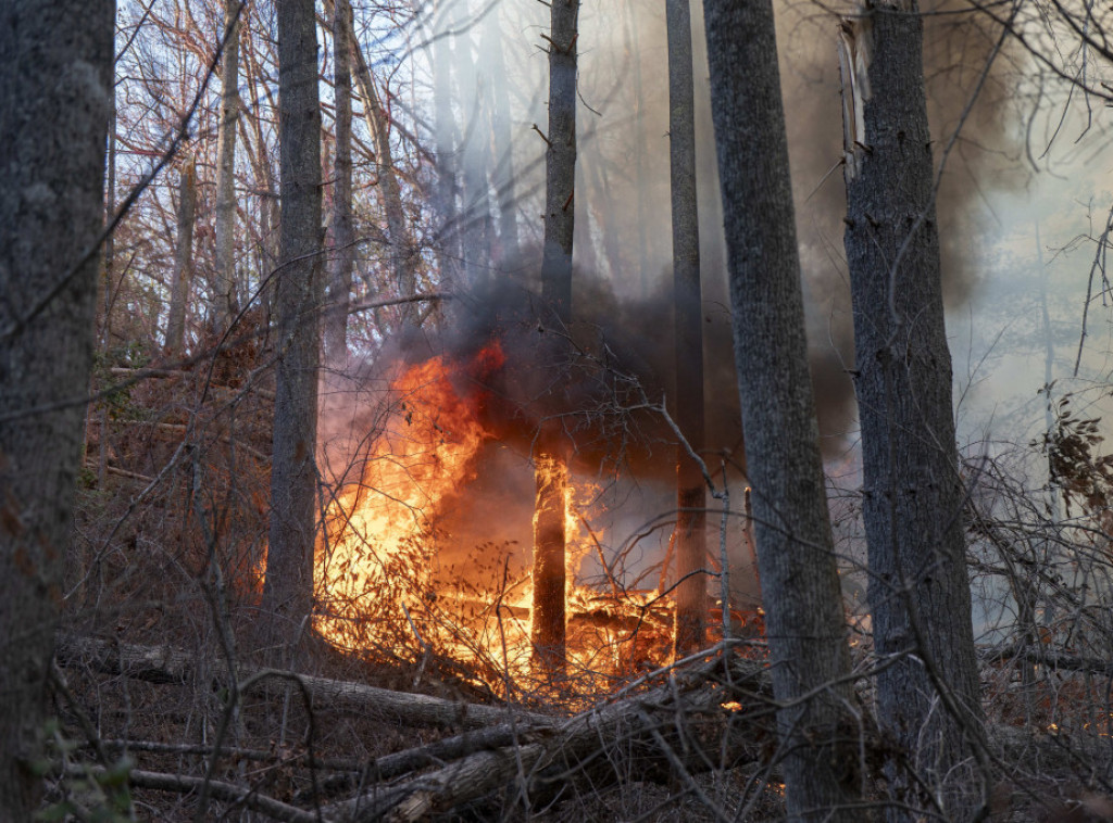 Južnokorejska policija: Uhapšen osumnjičeni za izazivanje šumskih požara