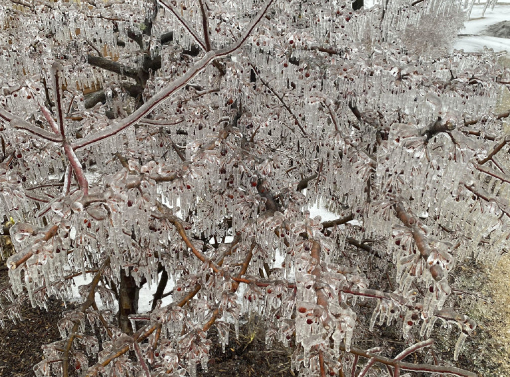Ledena kiša dovela do nestanka struje za hiljade ljudi u regionu Velikih jezera u SAD