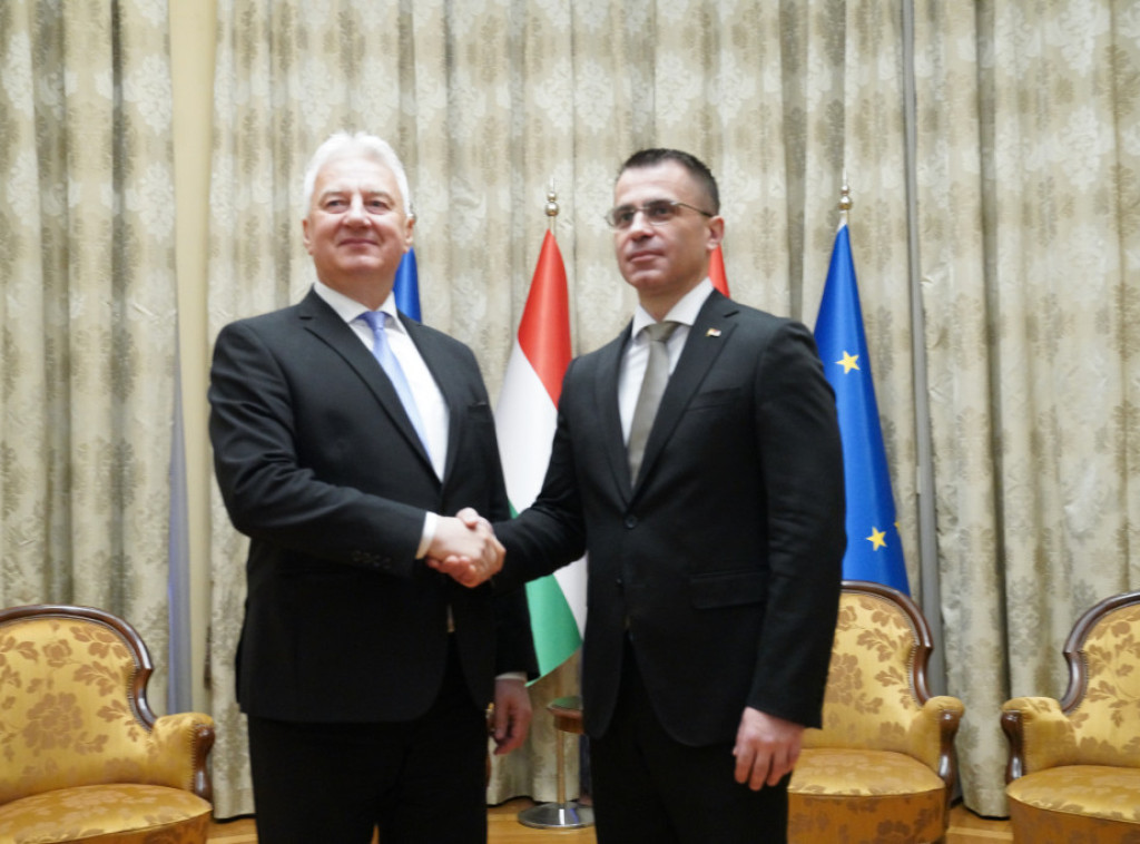 Milićević: Srbija pokazala odlučnost da jača veze matice sa Srbima van države