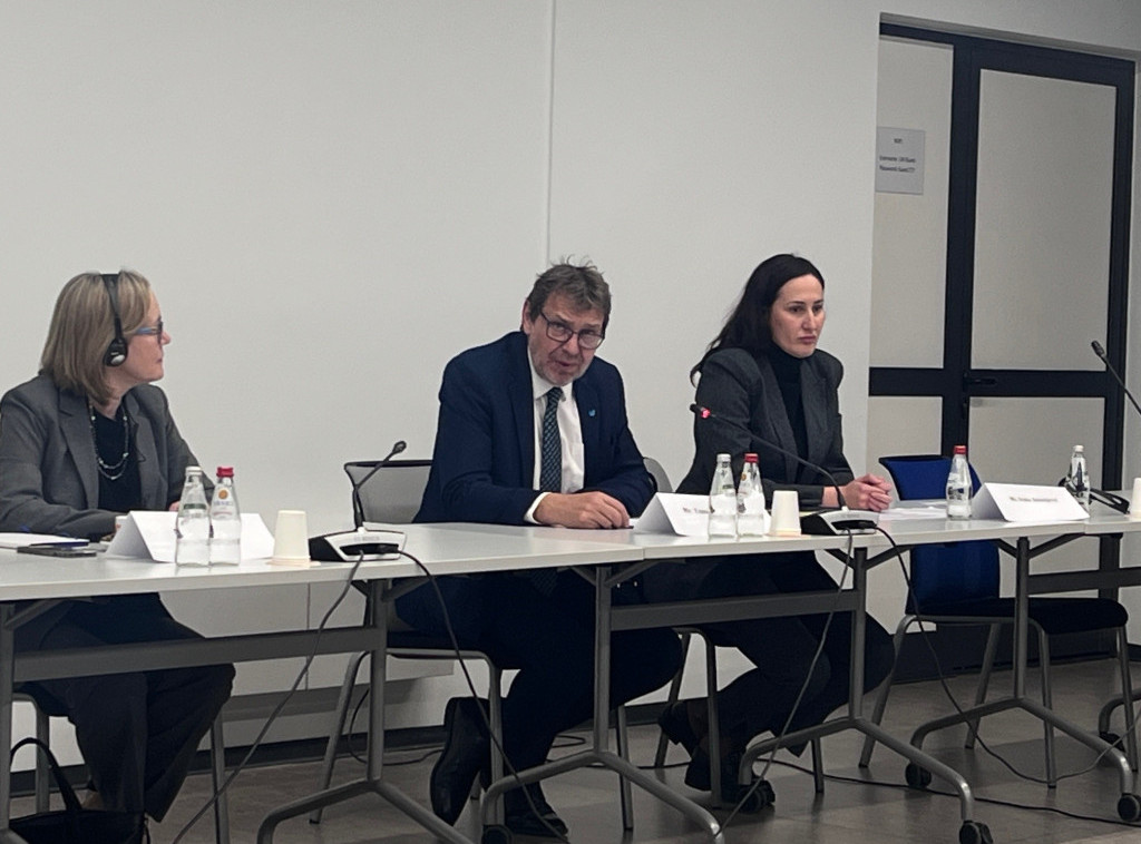 Žigmanov kopredsedavao sastanku projekta UN Mladi za inkluziju, jednakost i poverenje