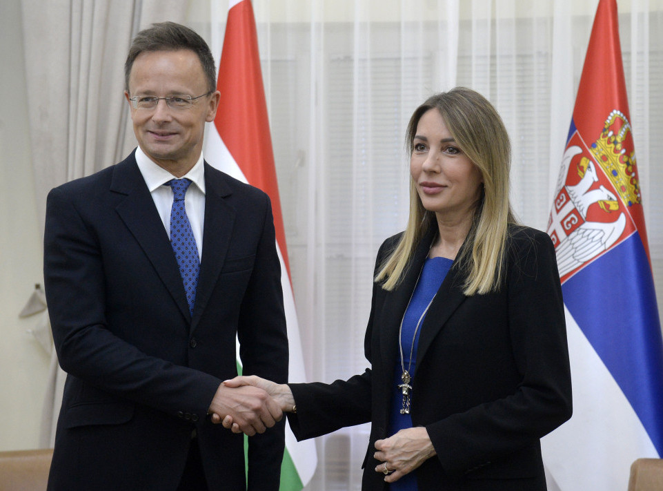 Djedovic Handanovic: Construction of Serbia-Hungary oil pipeline could start by end-year