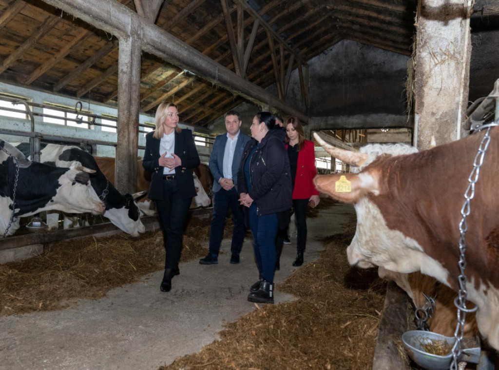 Ministarka Macura u poseti uspešnom ženskom gazdinstvu u Velikim Pčelicama