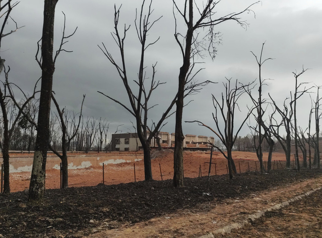 Šumski požar u južnokorejskom okrugu Hadong danas je uglavnom pod kontrolom