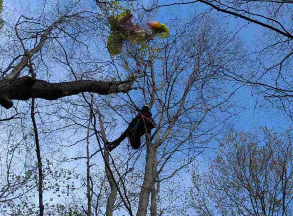GSS: Spasen pilot paraglajder zaglavljen u krošnji drveća na Fruškoj gori