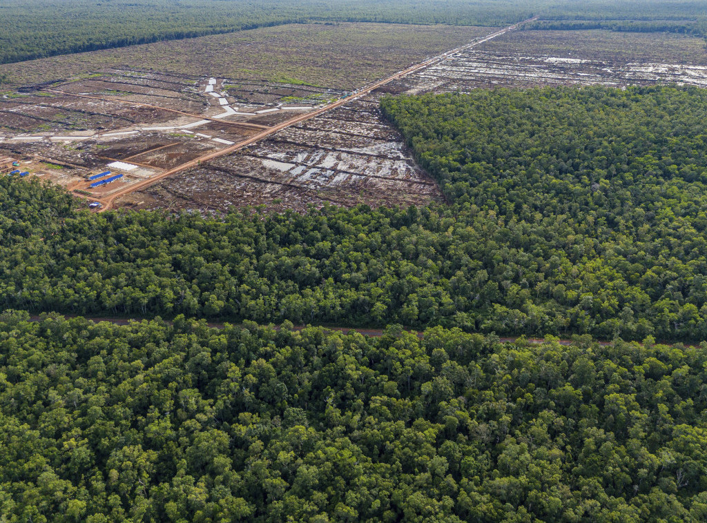 Pobunjenici u Indoneziji tvrde da su ubili 17 osoba ove nedelje