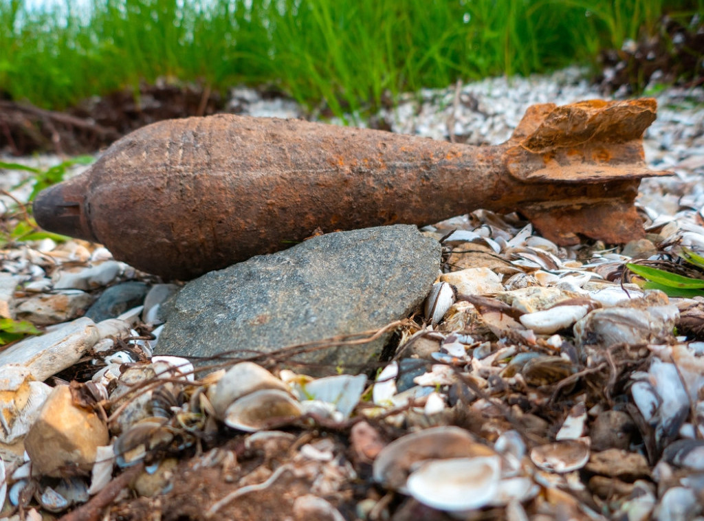 Horozović: Od mina još nije očišćeno 1,57 odsto teritorije BIH