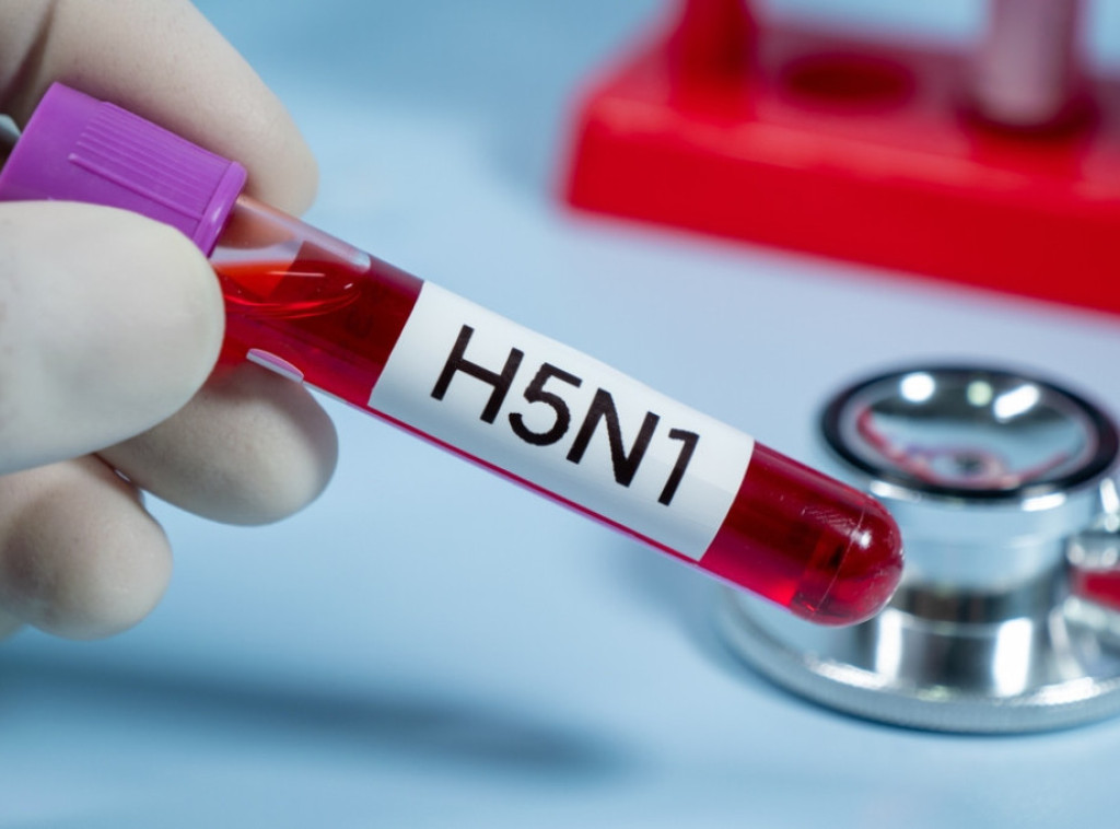 Virus ptičijeg gripa H5N1 otkriven na farmi pataka u Češkoj