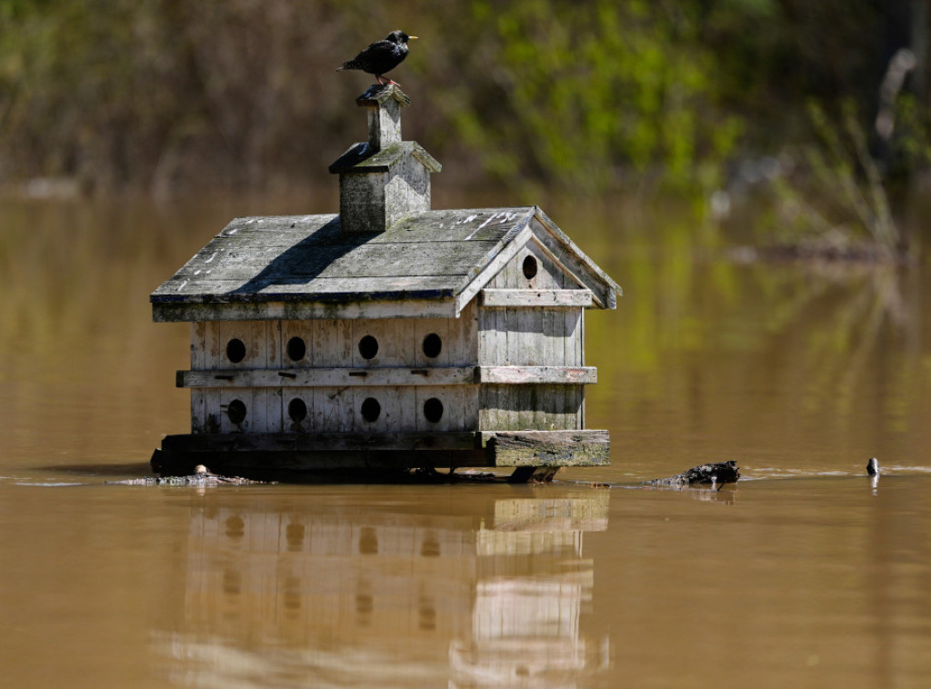 Zbog obilnih padavina uvedeno vanredno stanje na Kanarskom ostrvu Lanzarote