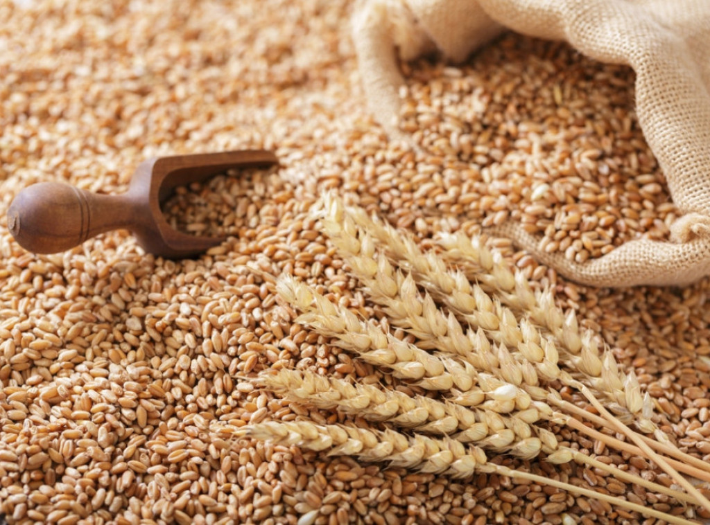 Na Produktnoj berzi ove nedelje se najviše trgovalo pšenicom