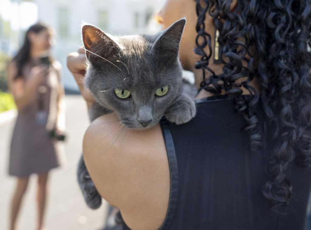 Mačka zalutala u Belu kuću, prisustvovala konferenciji za novinare