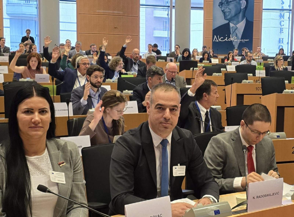 Nikola Radosavljević: Održana sednica Energetske zajednice bez predstavnika Prištine