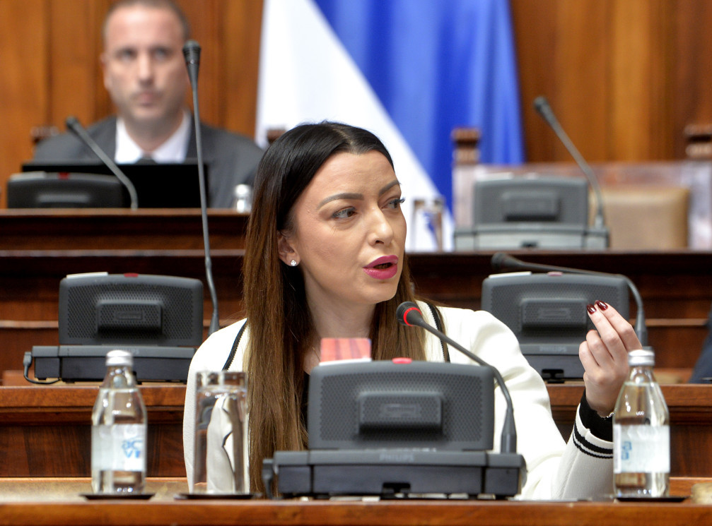 Mesarović i Vučević osudili izjavu Aleksića o izborima