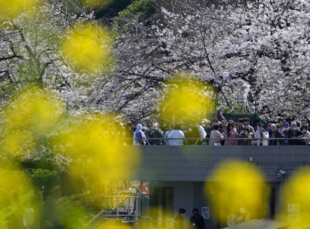 Najmanji park na svetu nalazi se u Japanu i ima površinu od samo 0,24 kvadrata