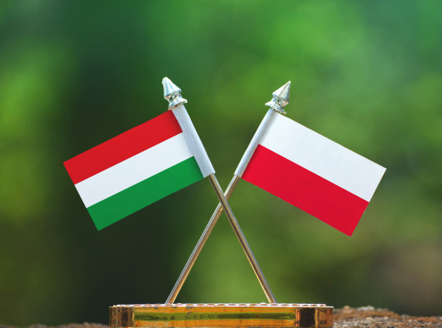 Predsednik Mađarske u Varšavi: Snažna centralna Evropa je interes svih nas