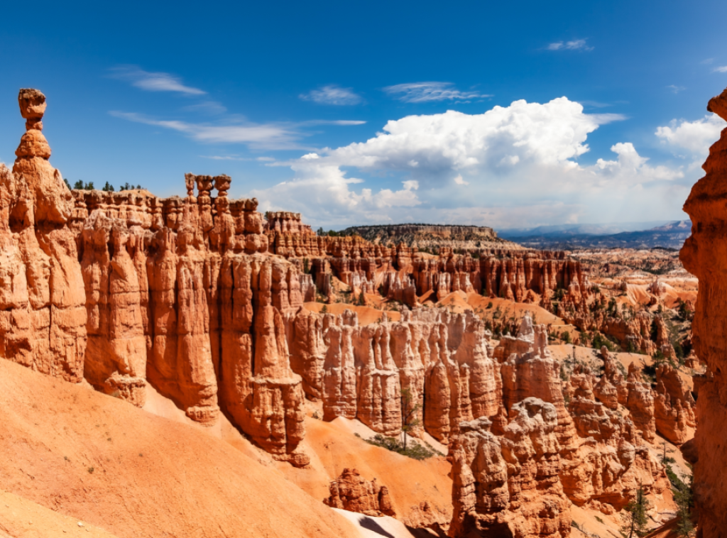 Mačka preživela pad od 115 metara koji je ubio dvoje ljudi