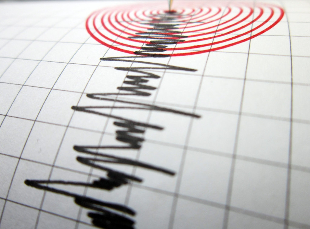 Zemljotres magnitude 2.5 jedinica Rihterove skale registrovan kod Vršca