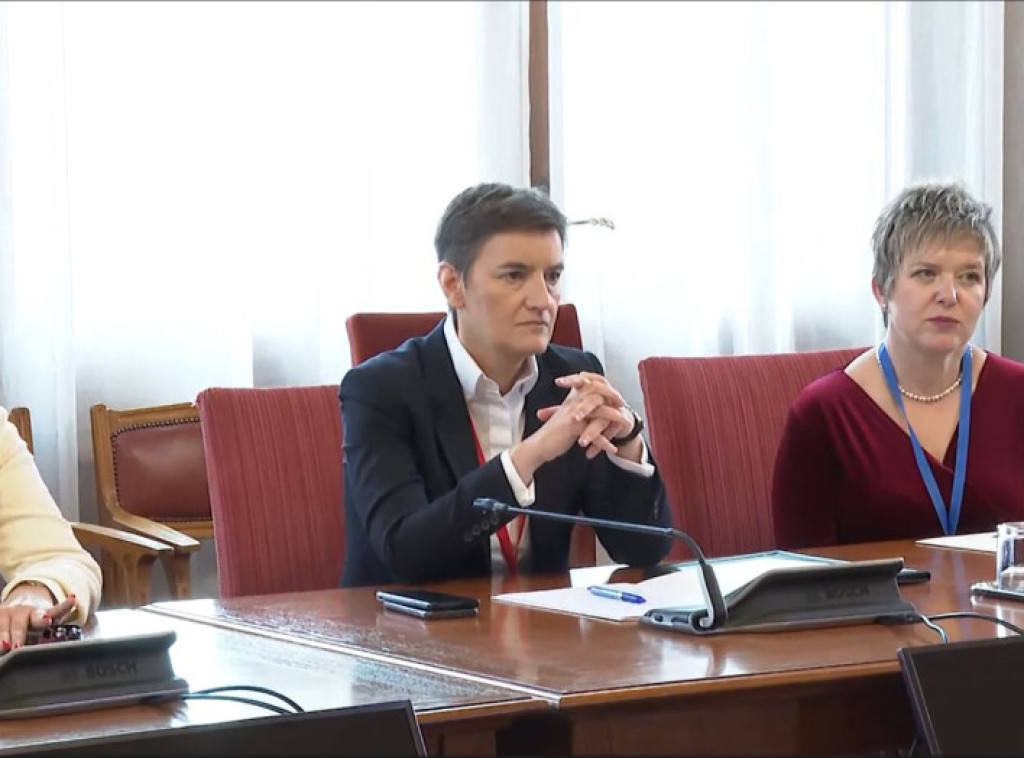 Brnabić u Budimpešti imala više bilateralnih sastanaka