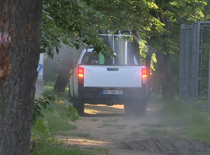 Gradska čistoća nastavlja akcije suzbijanja odraslih komaraca u Beogradu