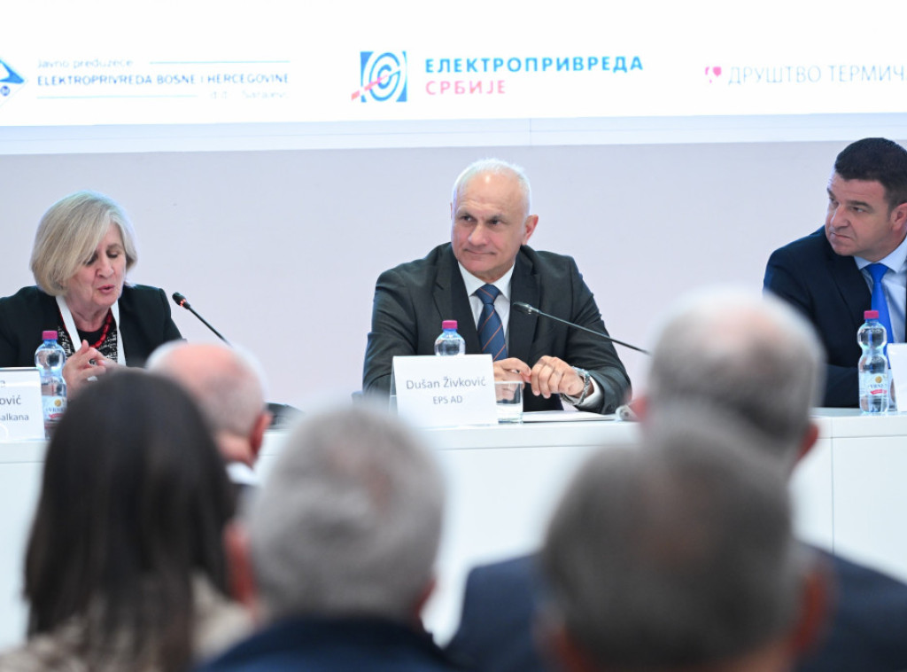 Dušan Živković: EPS spreman da postavi temelje za principe finansiranja projekata u regionu