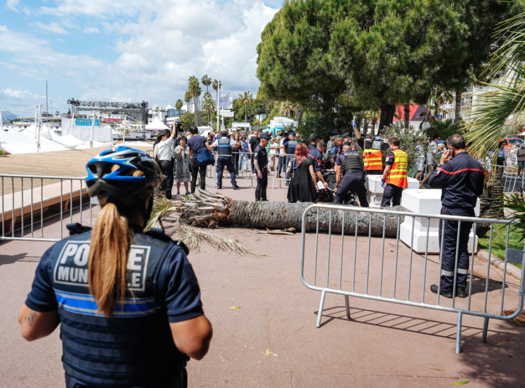 Povređen muškarac na Kanskom festivalu, na njega pala palma dok se šetao