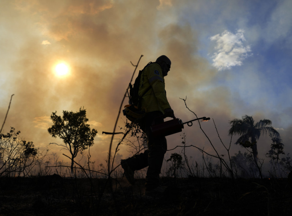 Izveštaj: Požari u Amazoniji izazvali rekordni gubitak šuma u 2024.