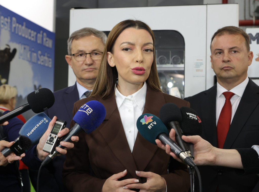 Mesarović: Skandalozna odluka suda, pustili ljude koji su spremali teroristički akt