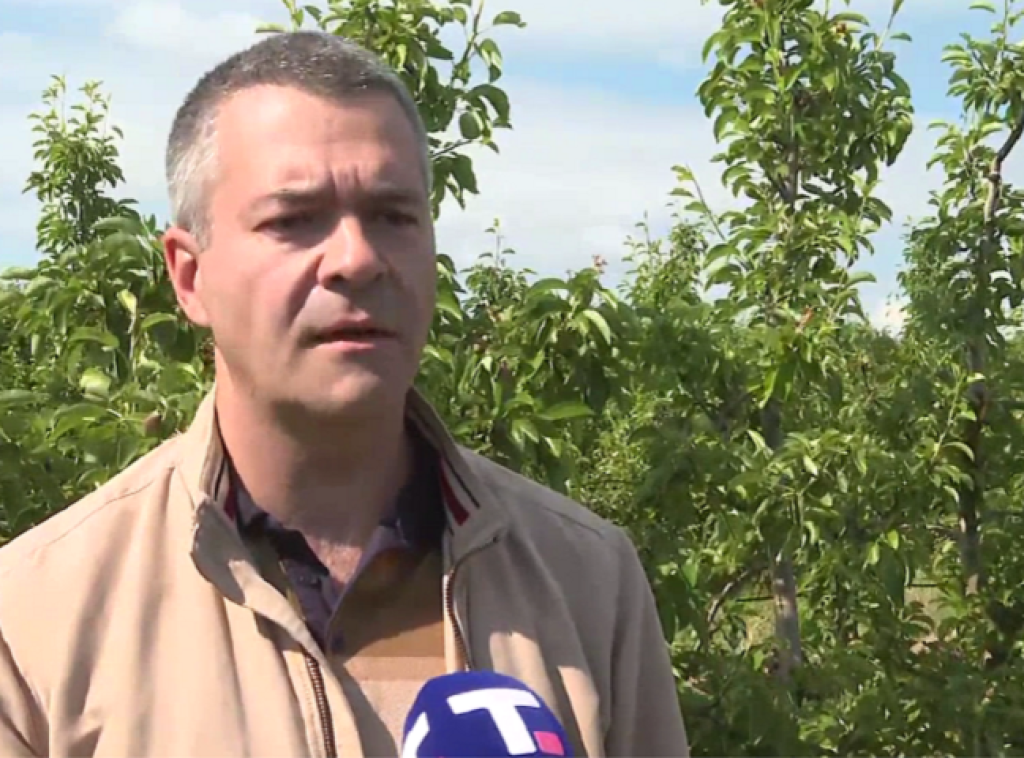 Srđan Stevanović: Nakon udara grada uraditi tretman biljaka kao pripremu za narednu sezonu