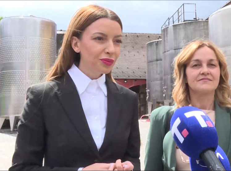 Mesarović u Kosjeriću: Podrška proizvođačima vina širom Srbije