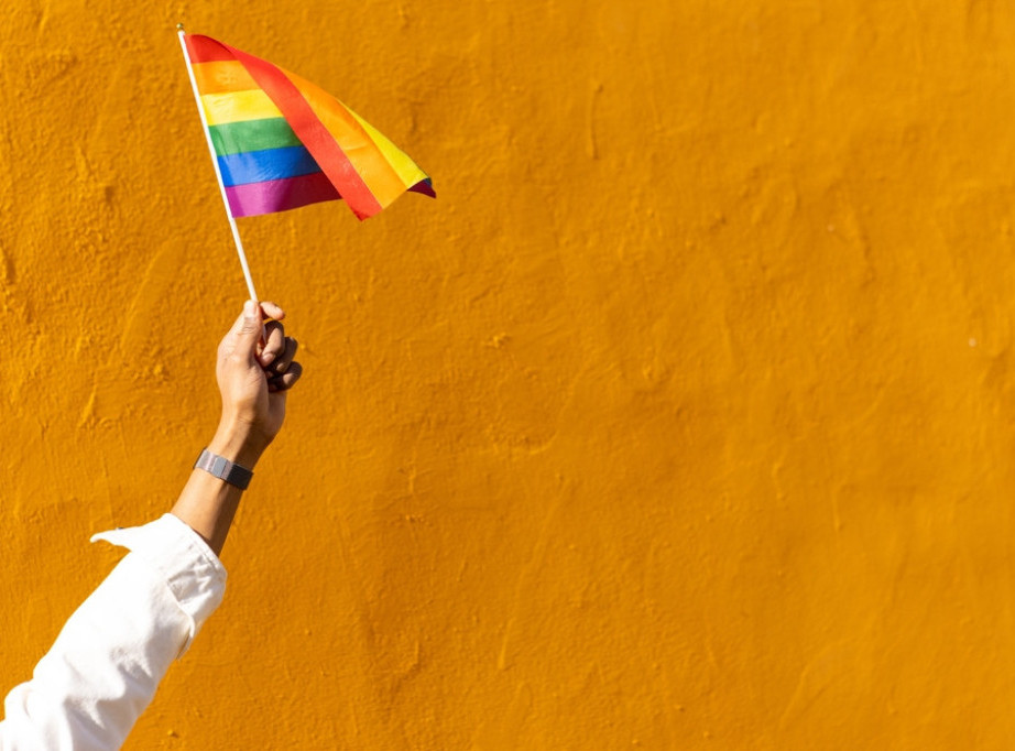 Hapšenje LGBTQ+ aktiviste u Turskoj zbog kritika na račun Erdoganovog režima