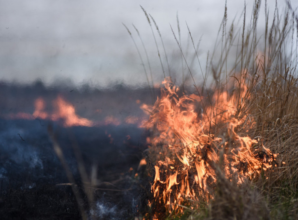 Nikšić: Ugašeni požari u Pištetima i Banjanima koje je prouzrokovao ljudski faktor