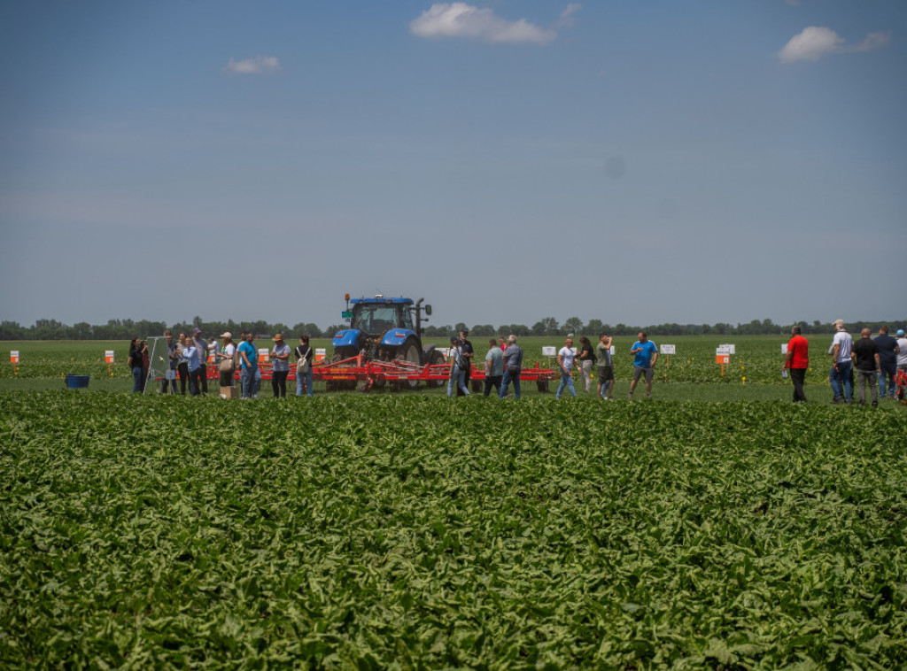 Sunoko organizovao Dan polja šećerne repe, u Srbiji zasejano više od 31.000 hektara