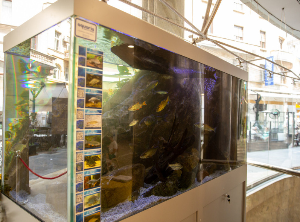Otvoren akvarijum u Evropskoj kući u okviru EU Zelene nedelje