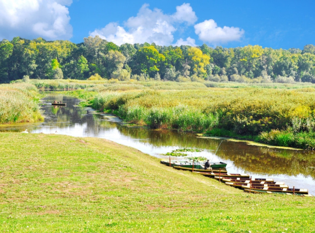 Uočeno prisustvo mrkog medveda na teritoriji Obedske bare
