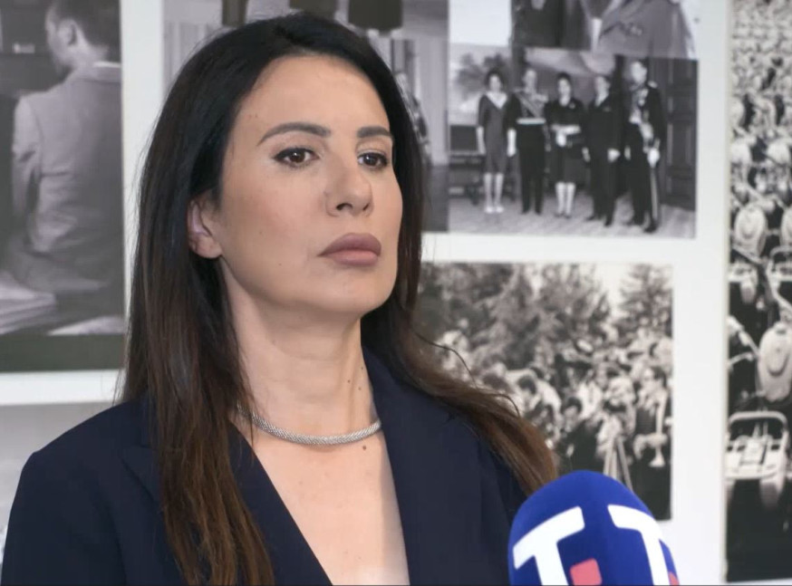 Danijela Nikolić: Sednici Odbora za KiM prisustvovao samo jedan član iz opozicije