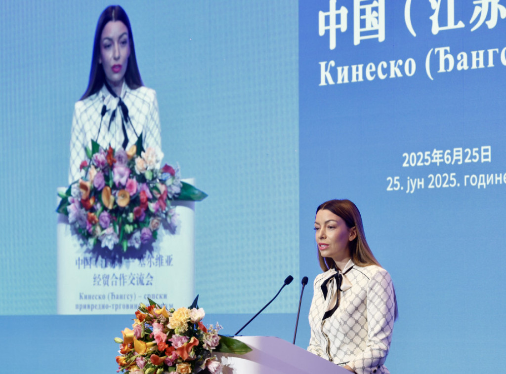 Mesarovic: Economic conference an opportunity to boost cooperation with China's Jiangsu province