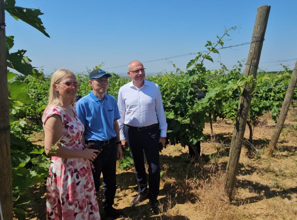 Završena poseta visoke delegacije kineske carine Srbiji