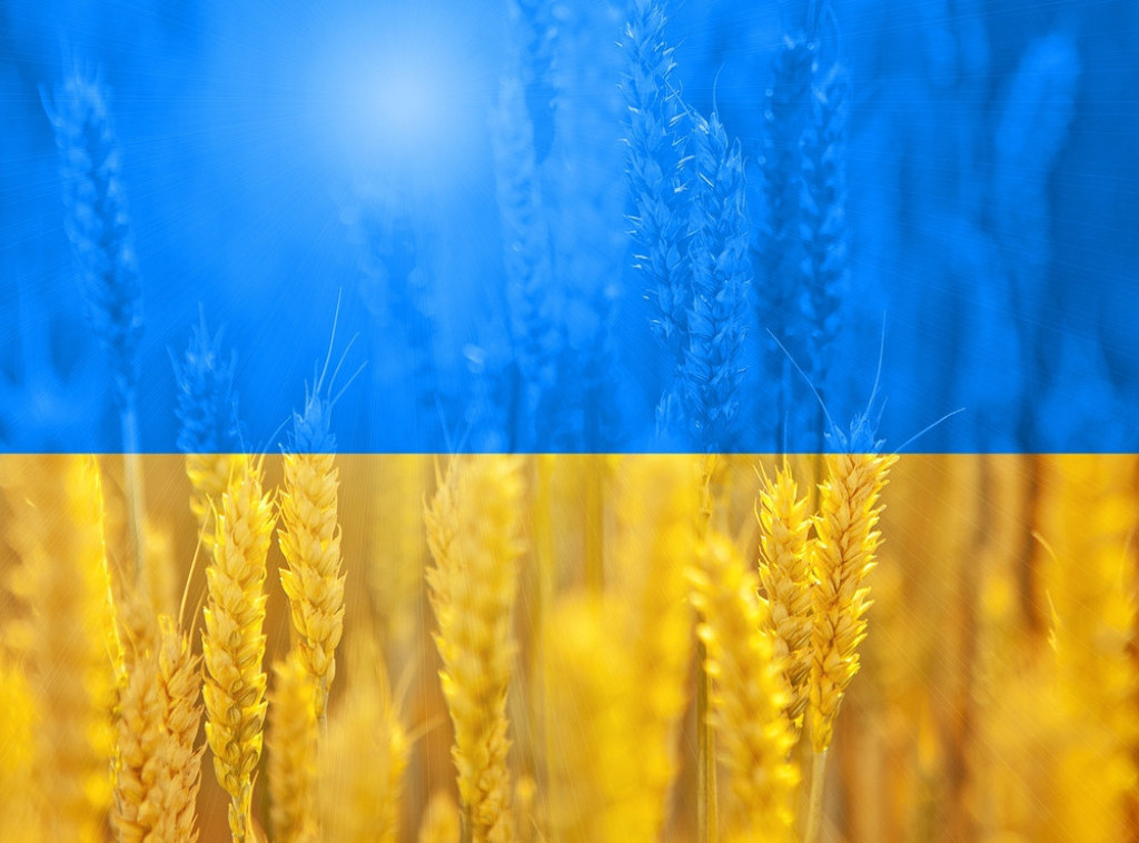 Fajnenšel tajms: Američki fondovi preuzeli kontrolu nad velikim žitnim terminalom u Odesi