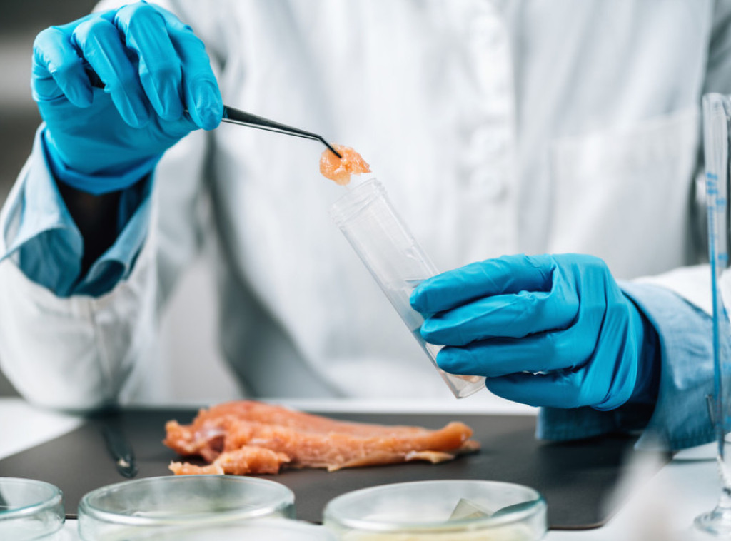 Uprava za veterinu: Netačni navodi o hormonima i antibioticima u mesu