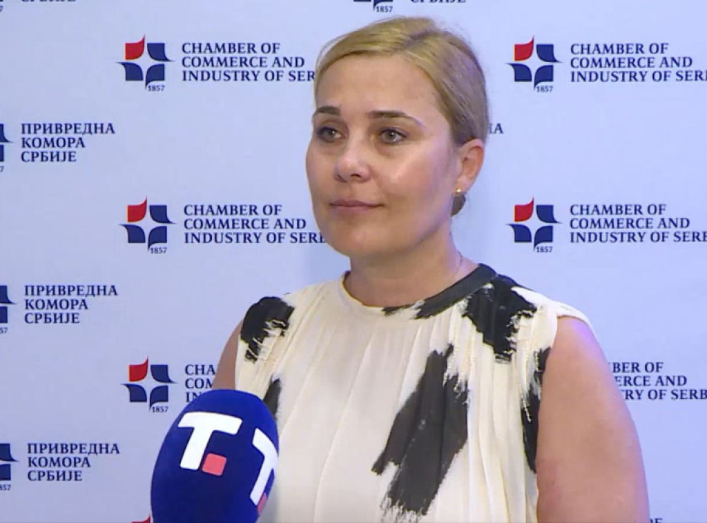 Tanja Lindel: Regulativa EU o karbonskim taksama pogodiće oko 500 kompanija iz Srbije od 1. januara