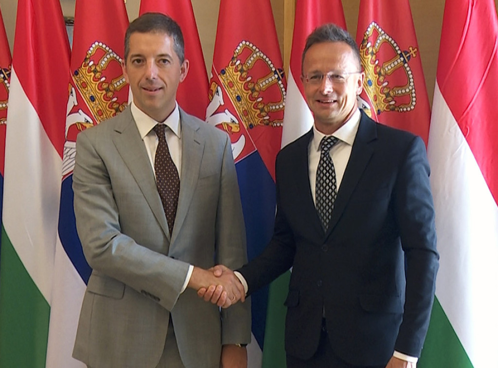 Đurić razgovarao sa Sijartom: Neće uspeti režirani pokušaji rušenja Srbije i Mađarske