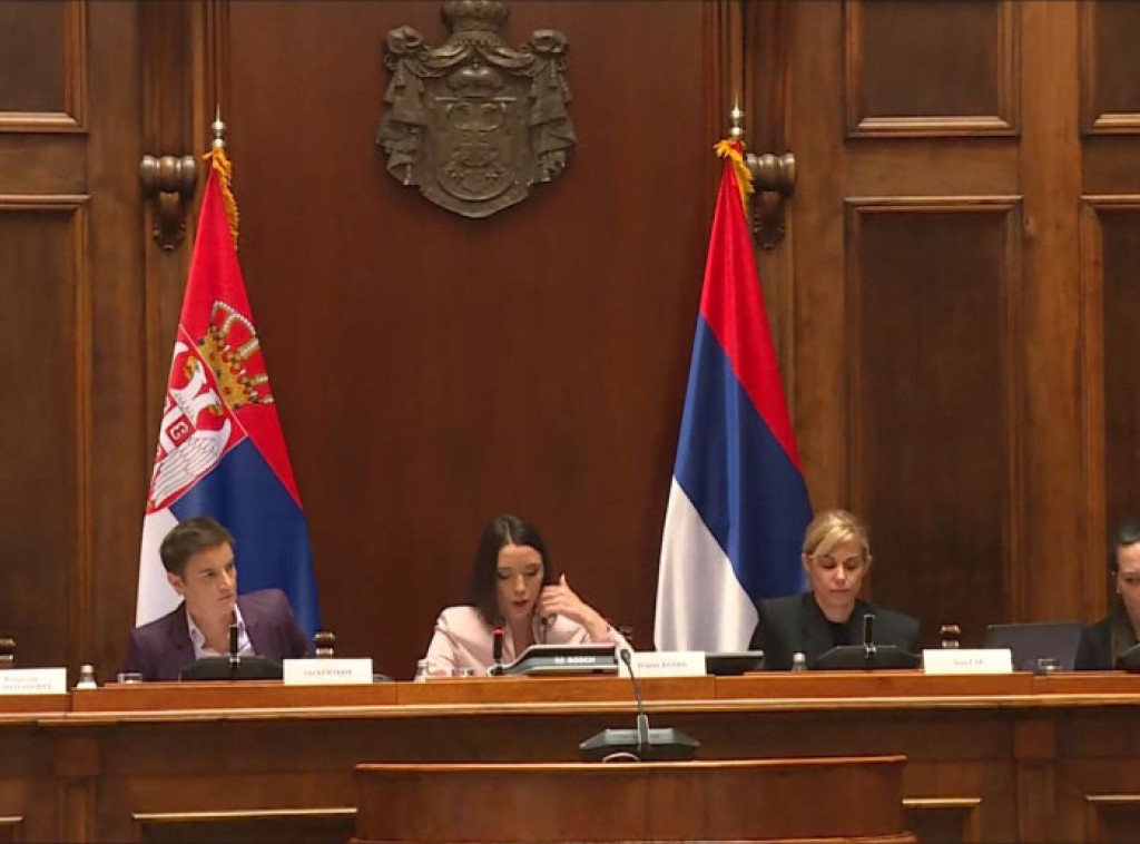 Članovi civilnog društva napustili sednicu Odbora o REM-u; Brnabić: Imate odgovornost