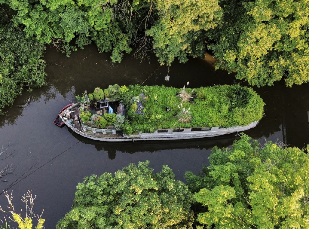 Novi napad soma u jezeru u Nemačkoj: Muškarac ugrizen tokom plivanja