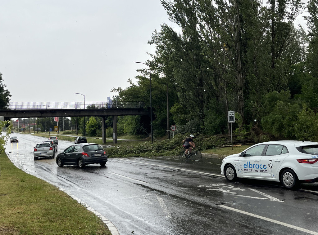 Suboticu pogodilo jako nevreme, palo na desetine stabala