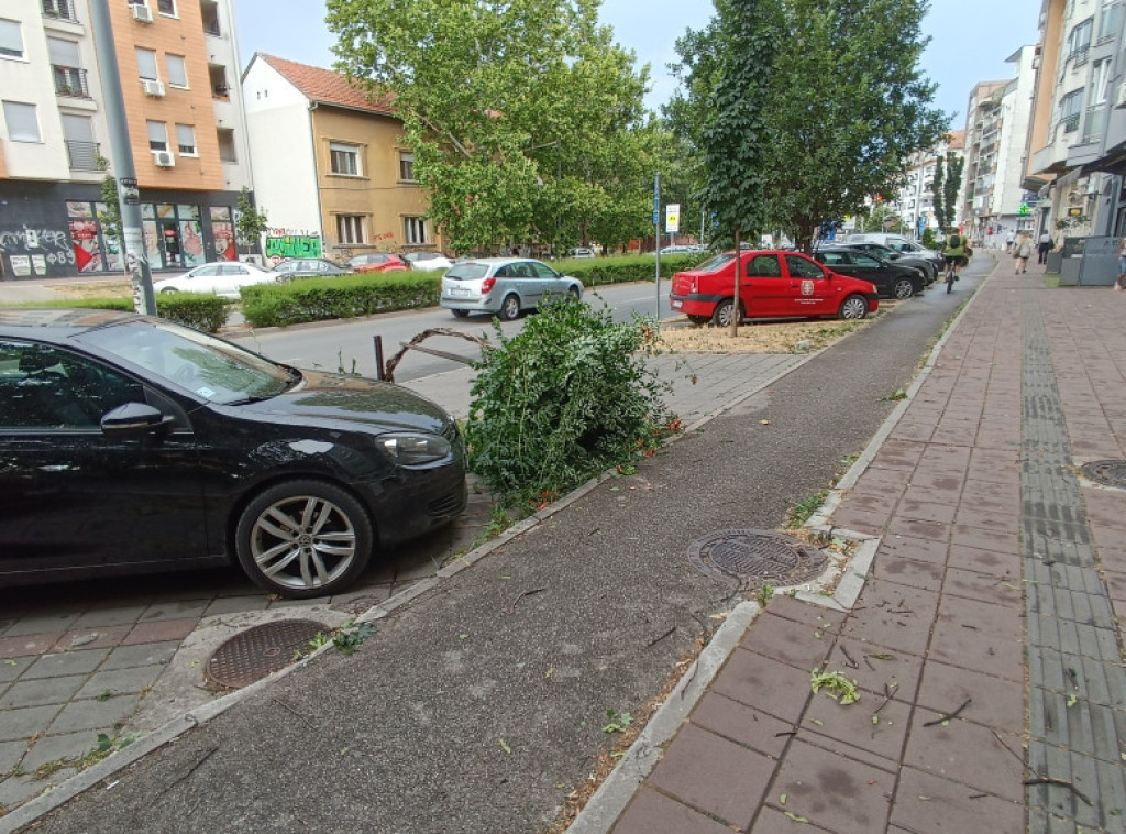 Devojčica i žena povređene u Novom Sadu kada je usled oluje na njih palo drvo