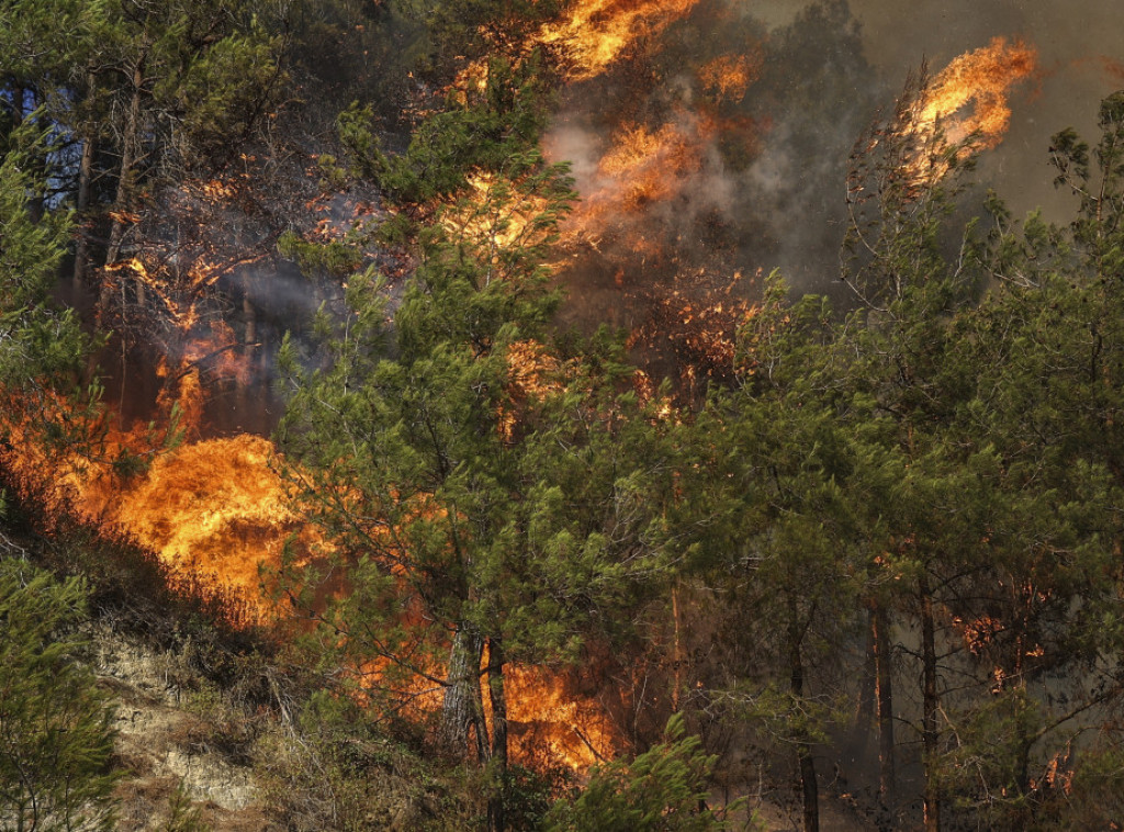 U Srbiji juče evidentirano 628 požara, četiri osobe i dva vatrogasca povređeni