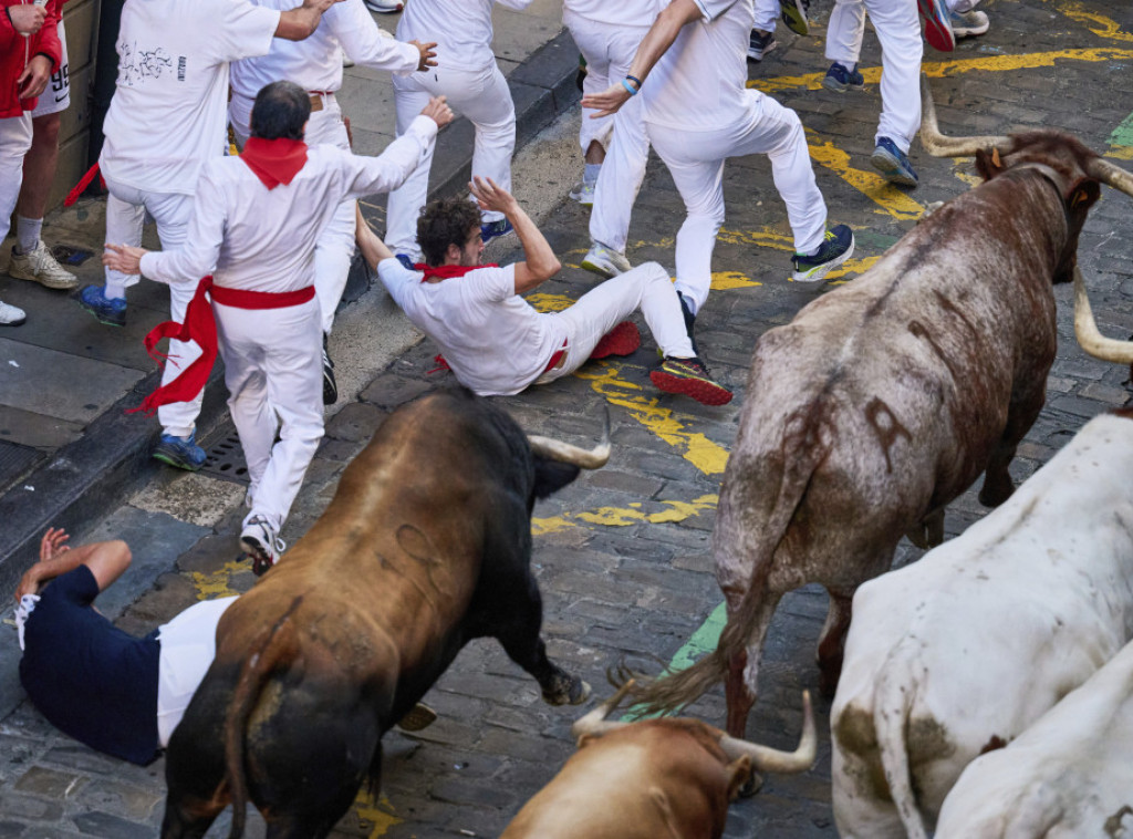 Treći dan trke sa bikovima: Jedna osoba ubodena rogom, dve povređene