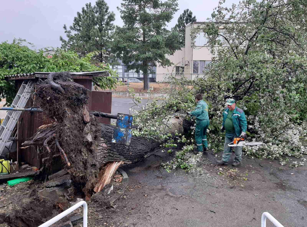 Smederevo pogodilo jako nevreme, padala stabla i grane, oštećena vozila
