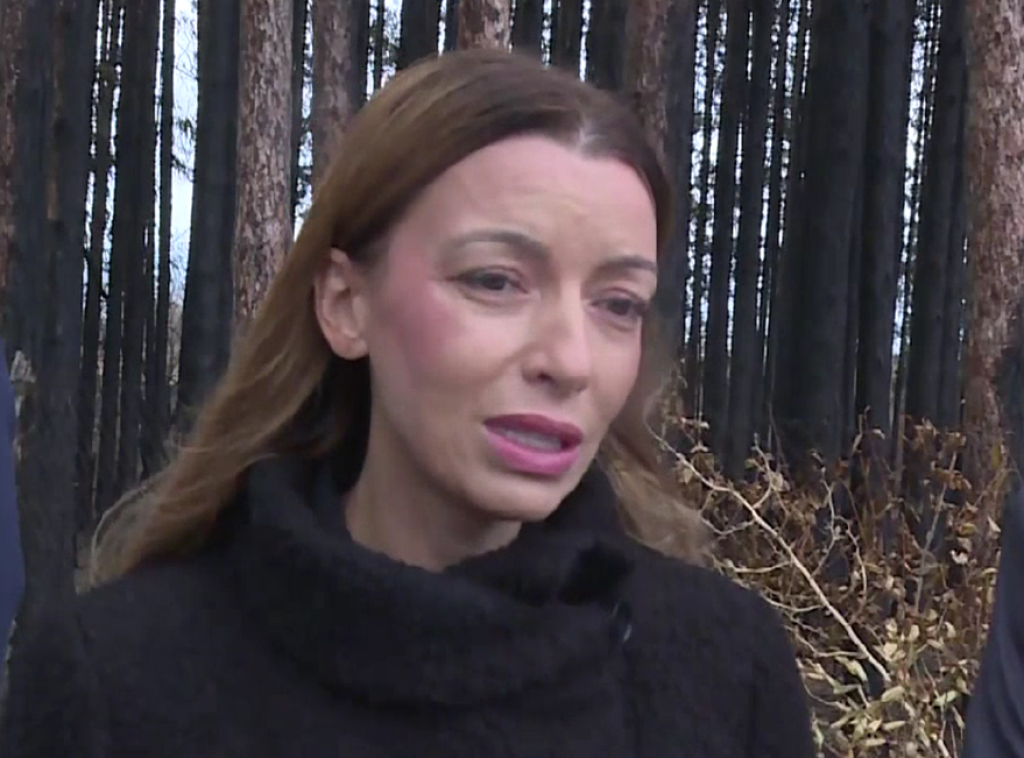 Adrijana Mesarović u selima Šumadije pogođenim požarima, meštani zahvalni što nisu zaboravljeni