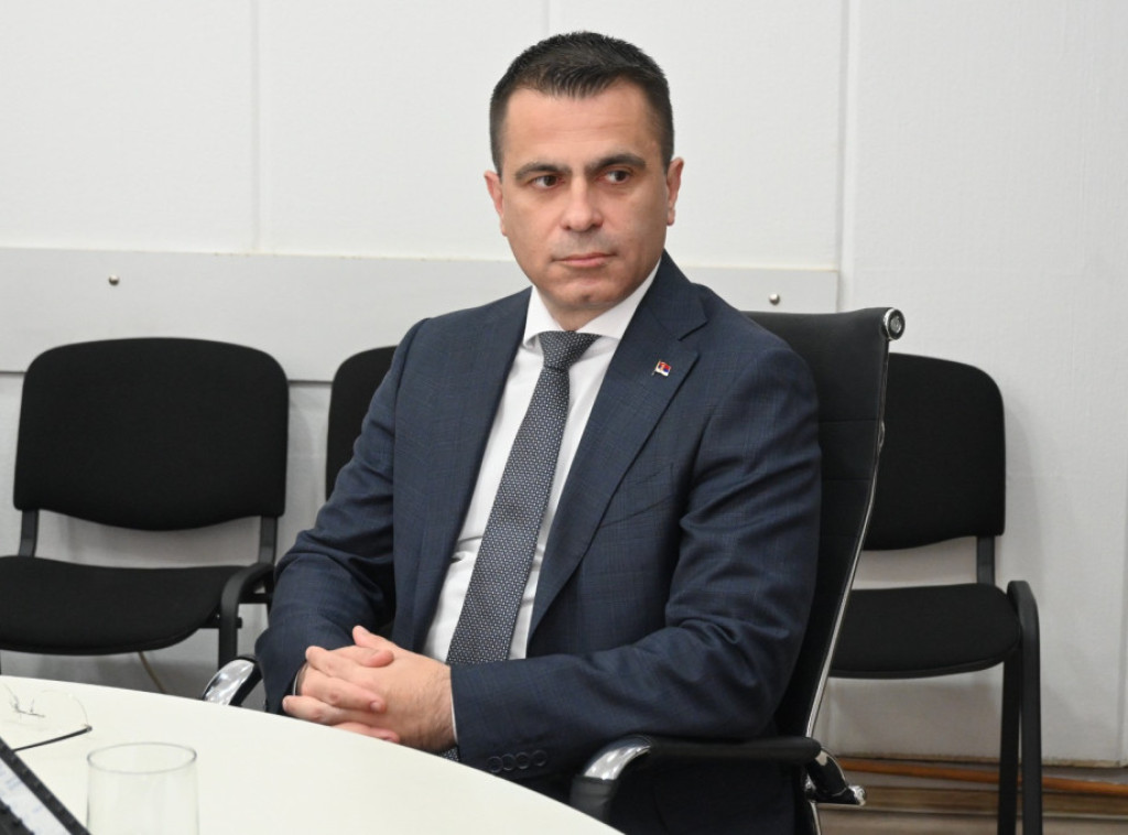 Milićević: Srbija će nastaviti da gradi budućnost, uprkos pokušajima destabilizacije