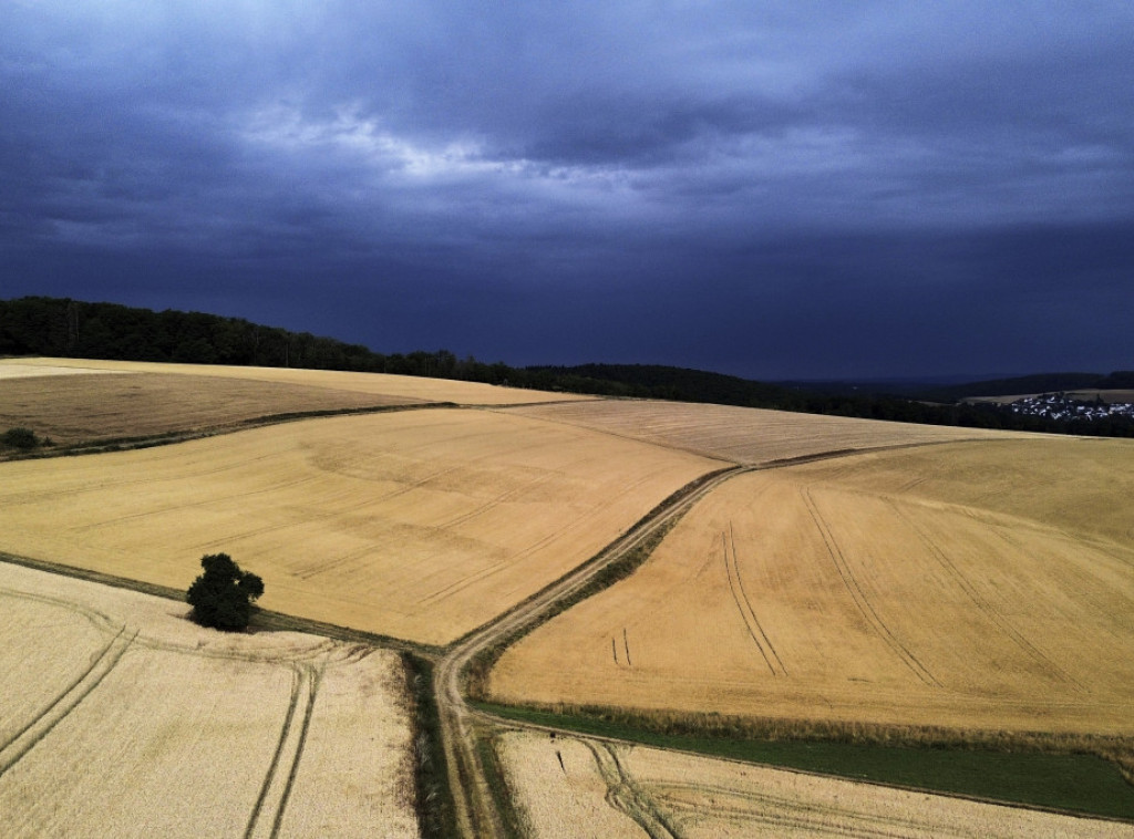 ECB: Letnji toplotni talasi sve ozbiljnije ugrožavaju ekonomiju i podižu cene hrane